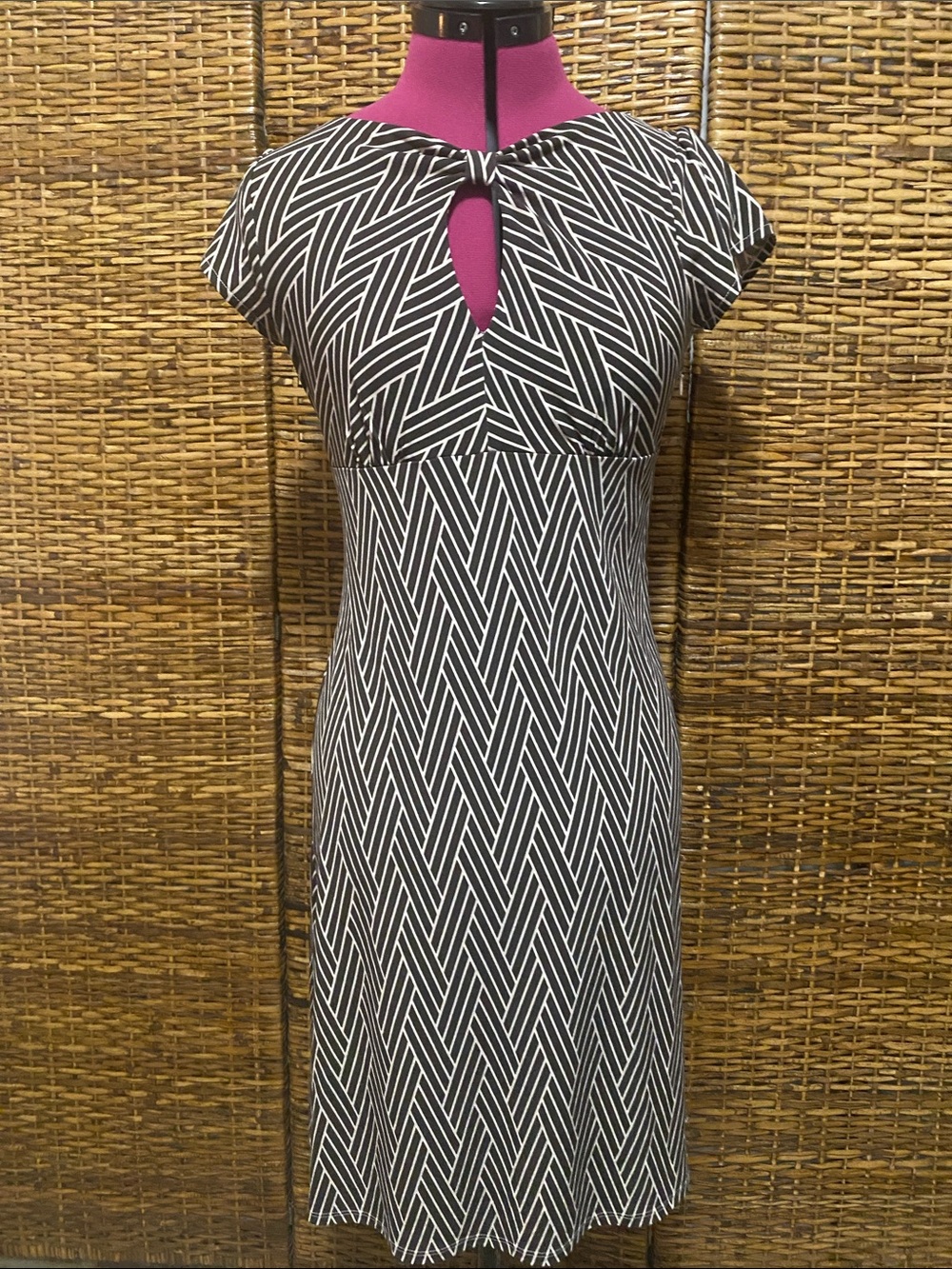 EUC Ann Taylor Cream, brown geometric Striped peekaboo Dress 0